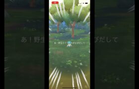 ポケモンgo 野生の最小クワッスゲットチャレンジ　#pokemongo #xxs