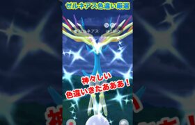 【ポケモンgo】8月最後の伝説！ゼルネアス爆誕！色違いゲットしてみた！　#ポケモン　#ポケモンgo #色違い　#ゼルネアス　#伝説ポケモン　#shorts #パチストラッシュ