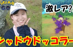 シャドウドッコラーレアすぎる…in愛知県名古屋市/岡崎市ポケモンgo