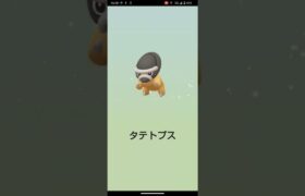 アーケンの色違い狙ってみたpart5！#ポケモンgo #ポケモン #pokemongo #pokemon #shorts