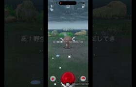 でっかいウパー #pokemon #ポケモンgo #ポケモン