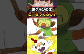 ポケモンの体って不思議！… #ポケモン #pokemon #雑学 #sv #アニポケ #はるかっと #shorts