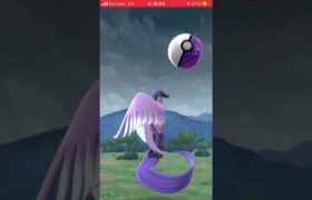 ガラル三鳥#ガラル三鳥 #shiny #ポケモンgo #ポケモンgo #ポケモン #色違いポケモン #pokemongame #pokemongo #shorts