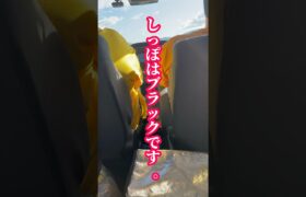 このポケモンの鳴き声なーんだ🤔？？#あいもぉ#short#ポケモン#なき声クイズ