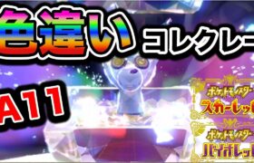 【自動貼り】色違いコレクレー レイド配布【ポケットモンスタースカーレット＆バイオレット】