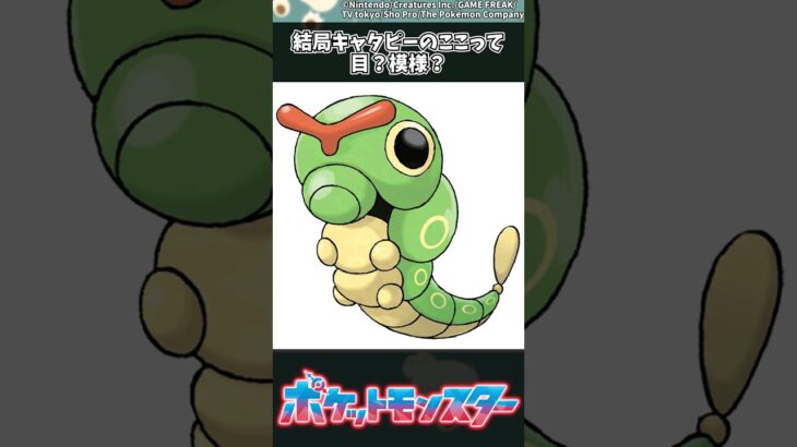 【ポケモン】結局キャタピーのここって目？模様？ #ポケモン #反応集