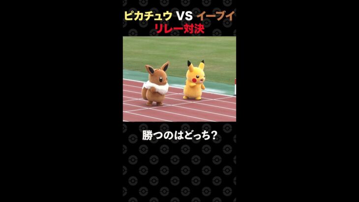 【公式】ポケモンかけっこ！ピカチュウ vs イーブイ