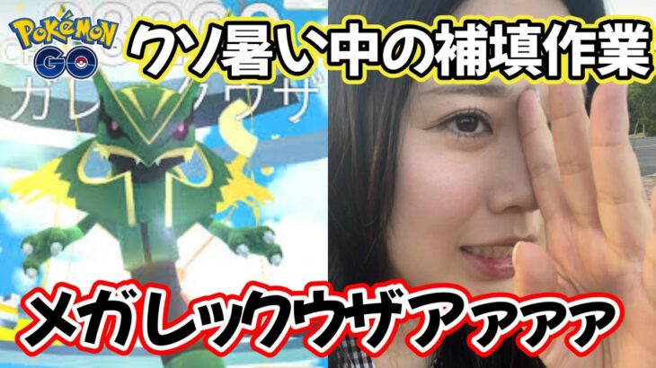 【過酷☀】レックウザvs暑さvs私😇💦こんな補填ってなんなのー？😭💢ポケモンGO Pokémon GO  Japan  일본인 포켓몬고