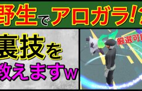 実写あり！今でもアロガラの厳選出来るぞ！w【ポケモンGO】