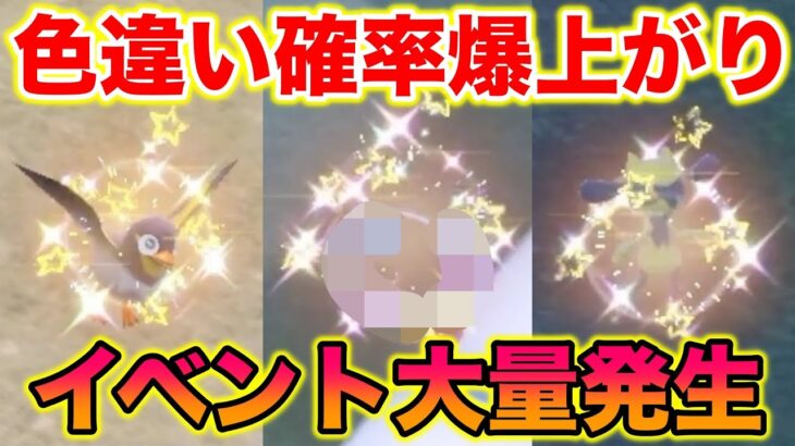 【期間限定】色違い確率が爆上がりするイベント大量発生でスパイスなしで〇〇の色違いをゲットしたったww【ポケモンSV/藍の円盤/ゼロの秘宝】