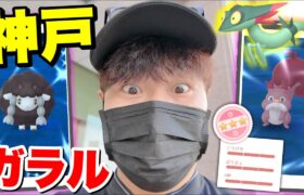 新色違いに100％！お仕事の合間ポケ活！【ポケモンGO】【ドラメシア】