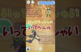 ✨第17回キラ交換✨色違いルカリオ#ポケモンgo #pokemongo