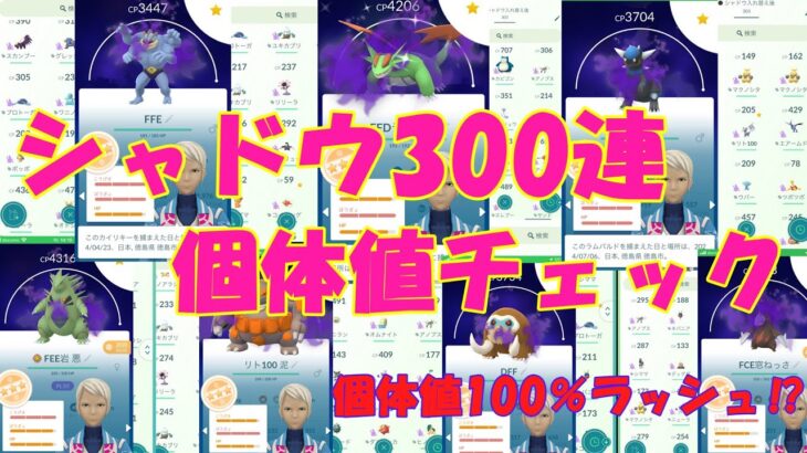 シャドウポケモン300連 個体値チェック