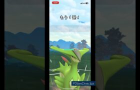 勝率8割パーティ！つんよいっす！#ポケモンgo #ポケモン #gbl #pvp #pokemon #ハイパーリーグ #スーパーリーグ