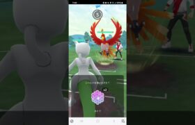 ポケモンGO 通常マスターリーグ アシレーヌ、ミュウツー、ネクロズマ(たそがれ)