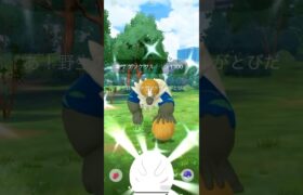 【ポケモンGO】 ナゲツケサル（色違い） 捕獲動画！！