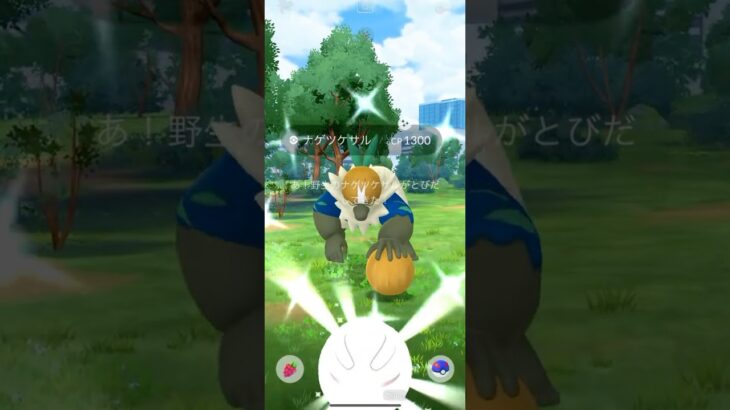 【ポケモンGO】 ナゲツケサル（色違い） 捕獲動画！！