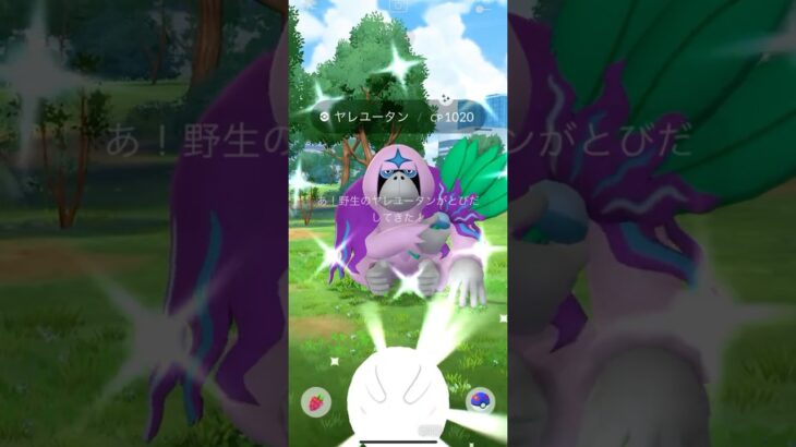 【ポケモンGO】 ヤレユータン（色違い） 捕獲動画！！