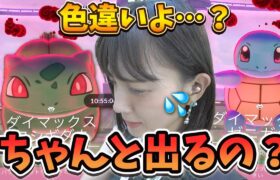 マックスバトル連戦‼️色違いの確率…？ちょっとあれ？出てる？【ポケモンGO】