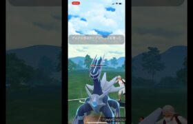 【ポケモンGO】ディアルガ　ラウドボーン被り