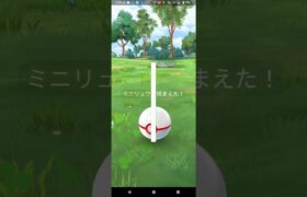 色違いシャドウミニリュウ捕獲【ポケモンGO】