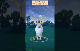 【難易度低ズル】アヤシシ極小サークルクリティカルゲット！【ポケモンGO】