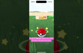 ちっちゃい ニャース🥰‼️ 「ポルカ・オ・ドルカ ダンス!! 〜ダンス!! ニャース〜　ポケモンGO