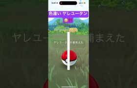 色違い ヤレユータン😳‼️ ゴリラ⁉️🦍🦍🦍   ポケモンGO