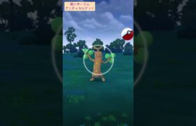 【難易度低】ウソッキー極小サークルクリティカルゲット！【ポケモンGO】