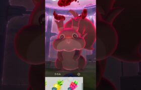 ポケモンGO『ホシガリス』皆さんの個体値はいかがでしたでしょうか？