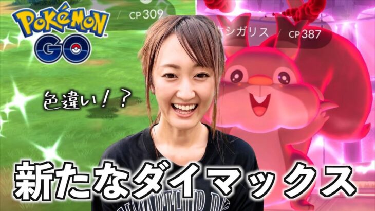 ダイマックス調査で新たなダイマックス登場!! 色違いも久々降臨!!【ポケモンGO】