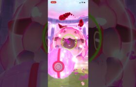 【ポケモンGO】ダイマックス　ウールー