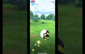 【ポケモンGO】レアポケ、ドラメシヤが家にいた‼️ #ポケモンGO #GBL #gbl #goバトル #goバトルリーグ#ドラメシヤ