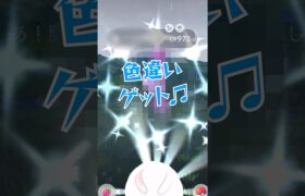 【ポケモンGO】色違いゲット〜♫ #ポケモンgo #ポケモン #ポケgo