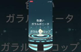 ポケモンGO 色違いガラルポニータ出現！色違いガラルギャロップへ進化！ #pokémon #ポケモンgo #ポケモン