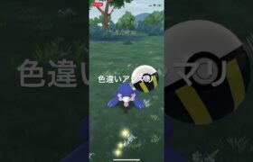 ポケモンGO 色違いアシマリ出現！ #pokémon #ポケモン #ポケモンgo