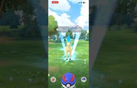 ポケモンGO コミュニティデイにてポニータ&ポニータ(ガラルのすがた)登場✨どちらも綺麗な色違いでした😊#shorts #ポニータ #コミュニティデイ