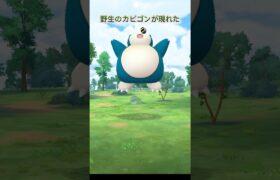 ポケモンGO野生のカビゴンがあらわれた #shorts @pokemongo