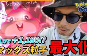 【ポケモンGO】1日でマックス粒子＋1,180！？「あの色違い」の進化が衝撃すぎた！！マックス粒子の謎はすべて解けた！！【ホシガリス】