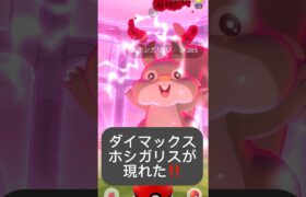 【ポケモンGO】マックスホシガリスが現れた!!「巨大化のナゾ（2/3）」【✨Dynamax Skwovet Pokémon GO ✨】