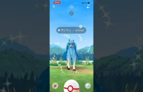 【ポケモンGO】色違いザシアン2体目✨‼️#ポケモンgo #ポケgo #ポケモン #ポケモン剣盾 #pokemon #shorts