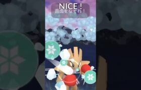 【ポケモンGOバトル#378】これで連勝記録伸ばしました✨さあ今すぐ上の🐸マークをタップして👍&チャンネル登録しよう！！ココチAチャンネルオリジナルポケモンGOバトル動画がいつでもどこでも見放題だ