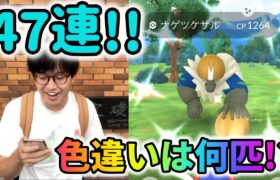 【ポケモンGO】有料リサーチで47連！色違いは何匹!?ヤレユータンとナゲツケサルのリサーチデイ！