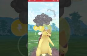 ポケモンGOバトルリーグ　ハイパーリーグ63