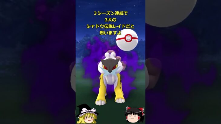 【ポケモンGO】今シーズンも⁉️9月のシャドウ伝説レイドはシャドウライコウ‼#shorts