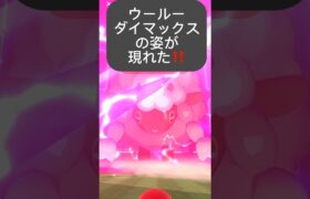 【ポケモンGO】キョダイマックスウールーが現れた!!【✨Dynamax Wooloo Pokémon GO ✨】