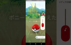 ポケモンGOで「ポニータ」GETしたよ‼️ #ポケモンgo