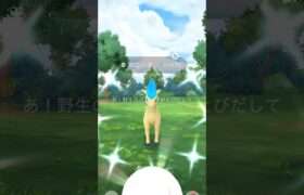 【ポケモンGO】コミュニティデイポニータ色違いGET #shorts