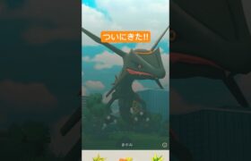 【ポケモンGO】色違い黒いレックウザGET#shorts