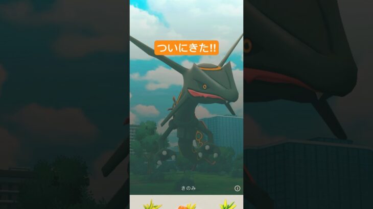 【ポケモンGO】色違い黒いレックウザGET#shorts